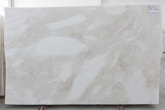 Rhino White